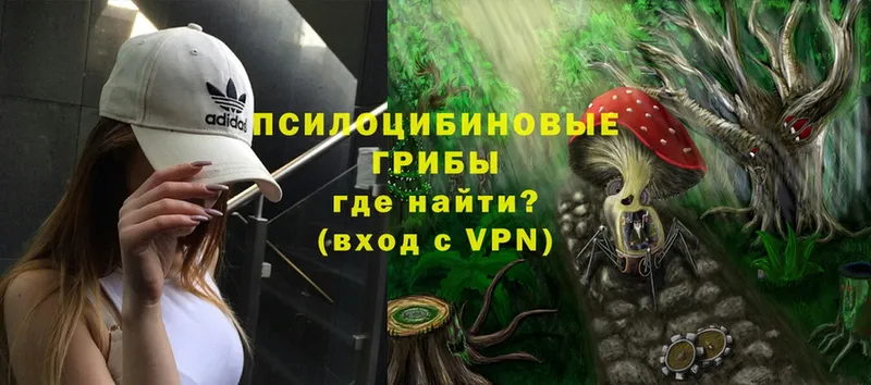 Псилоцибиновые грибы Magic Shrooms  darknet Telegram  Иваново 